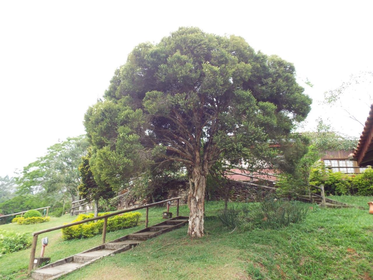 Estrela Da Serra Hotel Fazenda Santo Antonio do Pinhal Exterior photo